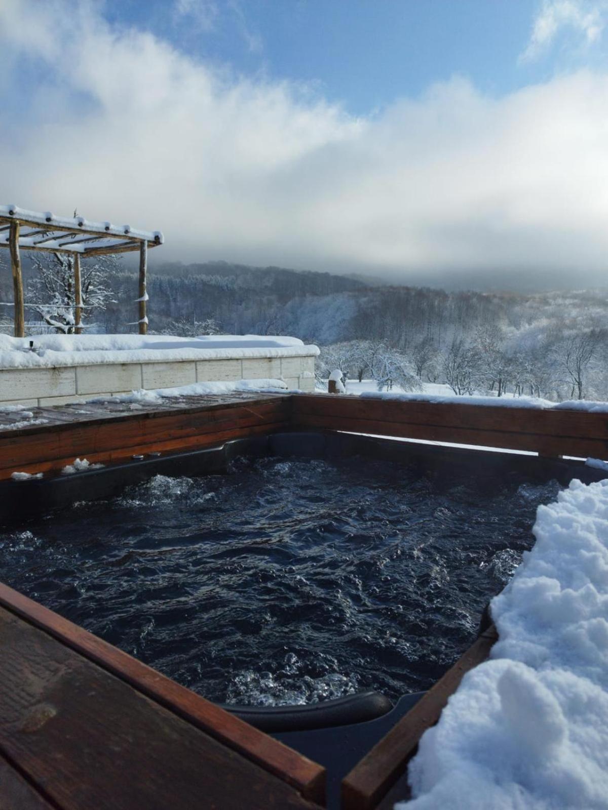 Le Chalet M - Cabana Cu O Panorama De Poveste. Surdesti  Dış mekan fotoğraf